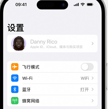 邵原镇appleID维修服务iPhone设置中Apple ID显示为灰色无法使用 