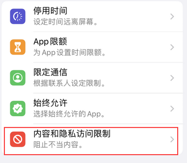 邵原镇appleID维修服务iPhone设置中Apple ID显示为灰色无法使用