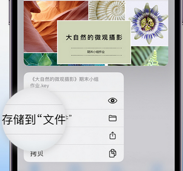 邵原镇apple维修中心分享iPhone文件应用中存储和找到下载文件