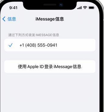 邵原镇apple维修iPhone上无法正常发送iMessage信息 