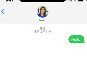 邵原镇apple维修iPhone上无法正常发送iMessage信息