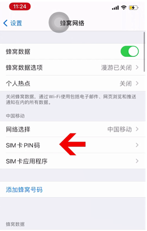 邵原镇苹果14维修网分享如何给iPhone14的SIM卡设置密码 