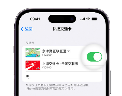 邵原镇apple维修点分享iPhone上更换Apple Pay快捷交通卡手绘卡面 