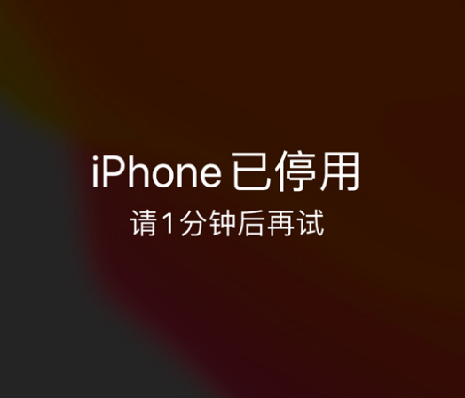 邵原镇苹果手机维修分享:iPhone 显示“不可用”或“已停用”怎么办？还能保留数据吗？ 