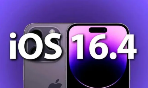 邵原镇苹果14维修分享：iPhone14可以升级iOS16.4beta2吗？ 