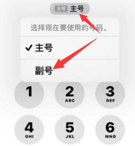 邵原镇苹果14维修店分享iPhone 14 Pro Max使用副卡打电话的方法 