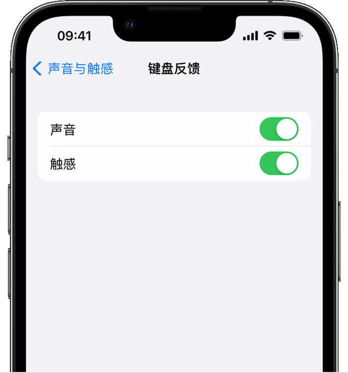 邵原镇苹果14维修分享iPhone 14 系列机型如何开启键盘声音或触感反馈 
