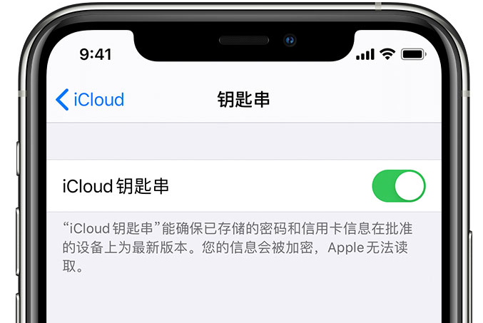 邵原镇苹果手机维修分享在 iPhone 上开启 iCloud 钥匙串之后会储存哪些信息 