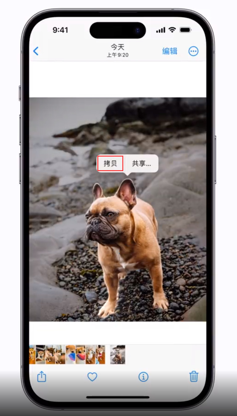 邵原镇苹果手机维修分享 iOS 16 自带一键抠图功能 