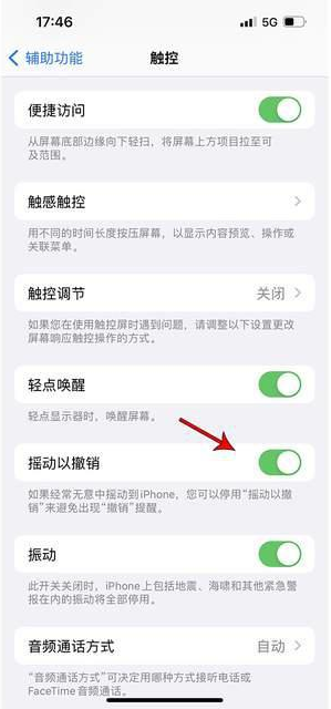 邵原镇苹果手机维修分享iPhone手机如何设置摇一摇删除文字 