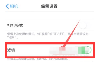 邵原镇苹果13维修分享iPhone13拍照有绿点是怎么回事 