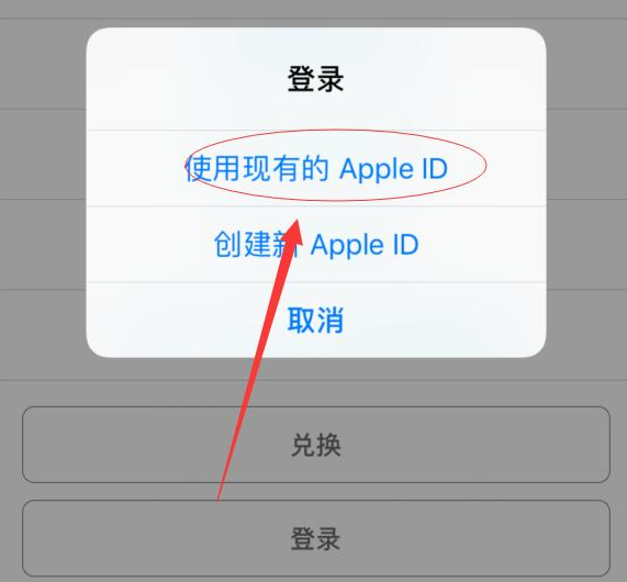 邵原镇苹果手机维修分享两台iPhone设备可以同时登录一个Apple ID吗 