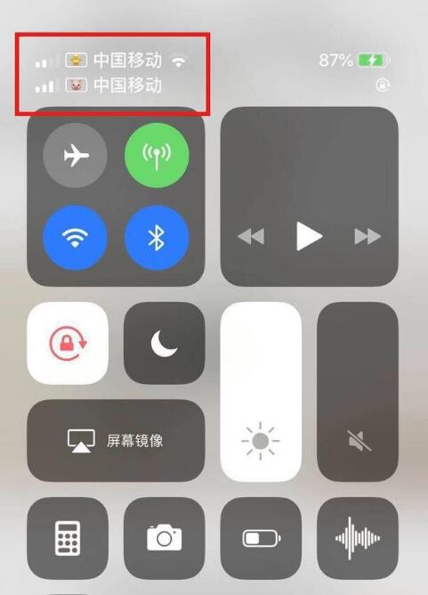 邵原镇苹果手机维修分享为 iPhone 12 双卡设置标签 
